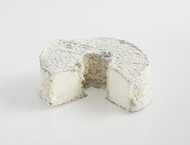 Rouelle du Tarn