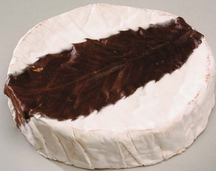 Feuille de Dreux