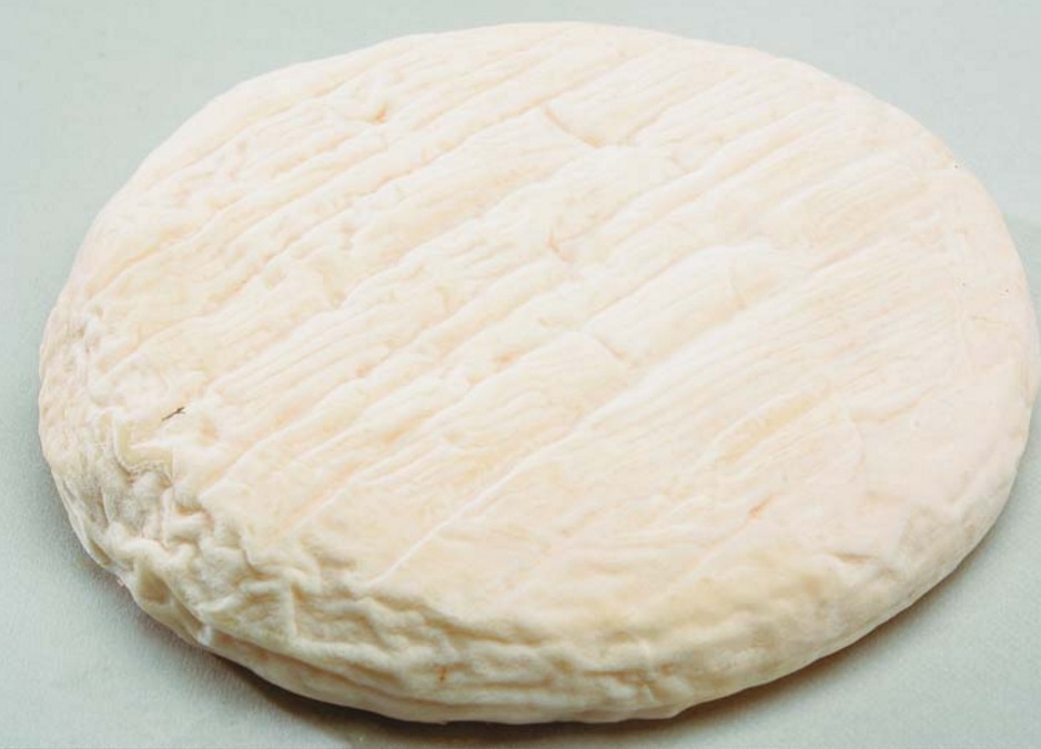 Bergeronnette