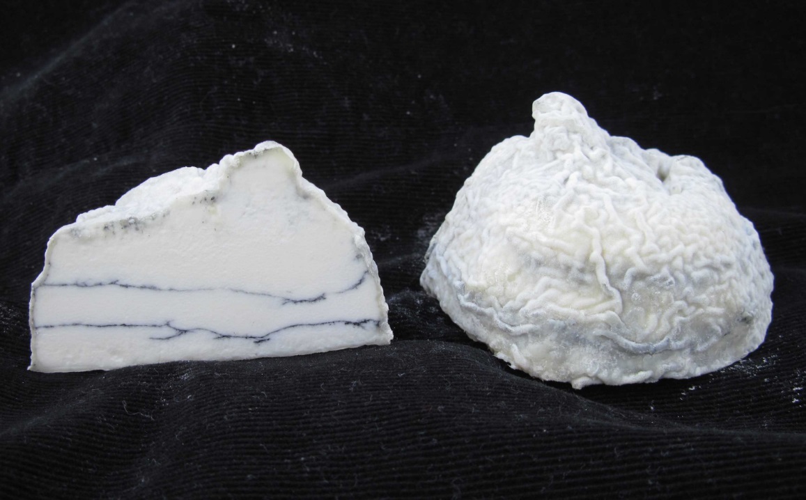 Figue du Bila