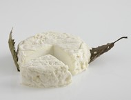 Mothais sur feuille