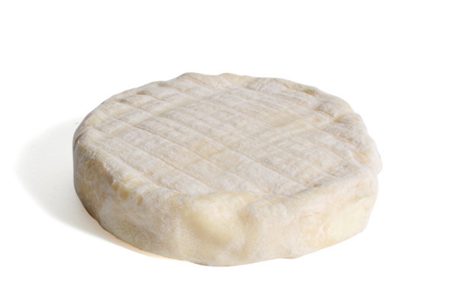Brebis de Saint-Hilaire-Foissac