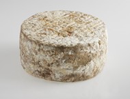 Tomme de brebis Corse