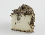 Fleur du Maquis aux herbes