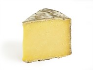 Double Gloucester