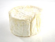 Lucullus