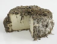 Fleur du Maquis aux herbes