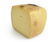 Ragusano