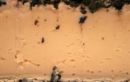 Tomme au Marc