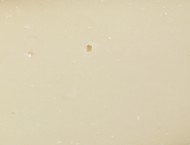 Tomme caprine des Pyrénées