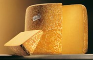 Cantal fromage