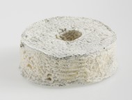 Rouelle du Tarn