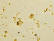 Asiago