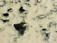 Bleu d'Auvergne