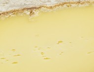 Tomme de Chartreux