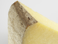 Cantal