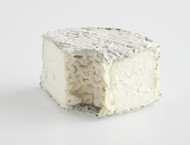 Rouelle du Tarn