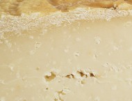 Pecorino Crotonese