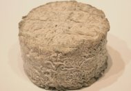 Chèvre de la Gâtine