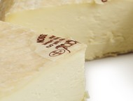 Brebis du Lochois