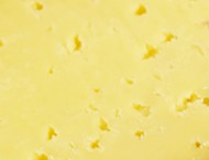 Ogleshield