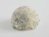 Taupinette Charentaise