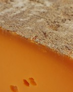Pavé du Nord