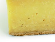 Single Gloucester