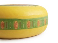 Gouda