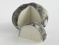 Truffe de Ventadour