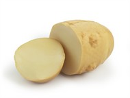 Ostiepok