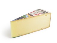 Fontina