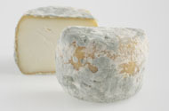 Crottin de Chavignol