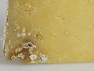 Cantal