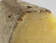 Cantal