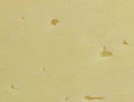 Caciotta