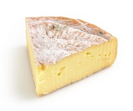 Dorset cheese