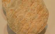 Picodon de Dieulefit