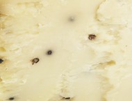 Calcagno