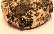 Tomme au Marc
