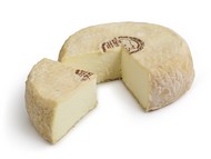 Brebis du Lochois