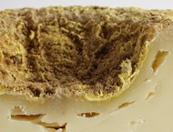 Lavort ou Tomme d'Auvergne
